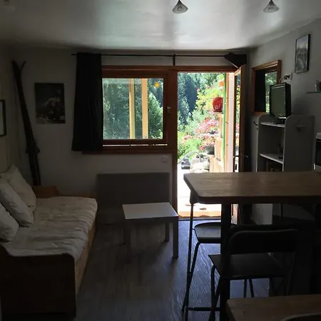 Apartment Apt Or Chalet Near The Slopes - Chamonix