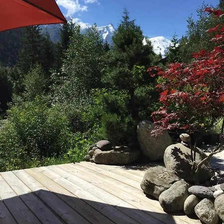 Apt Or Chalet Near The Slopes -